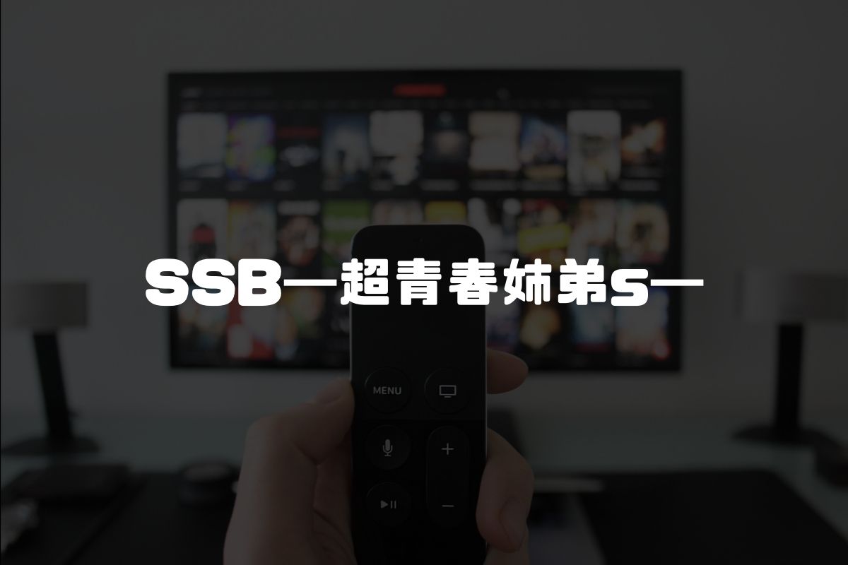 アニメ SSB―超青春姉弟s― 続編