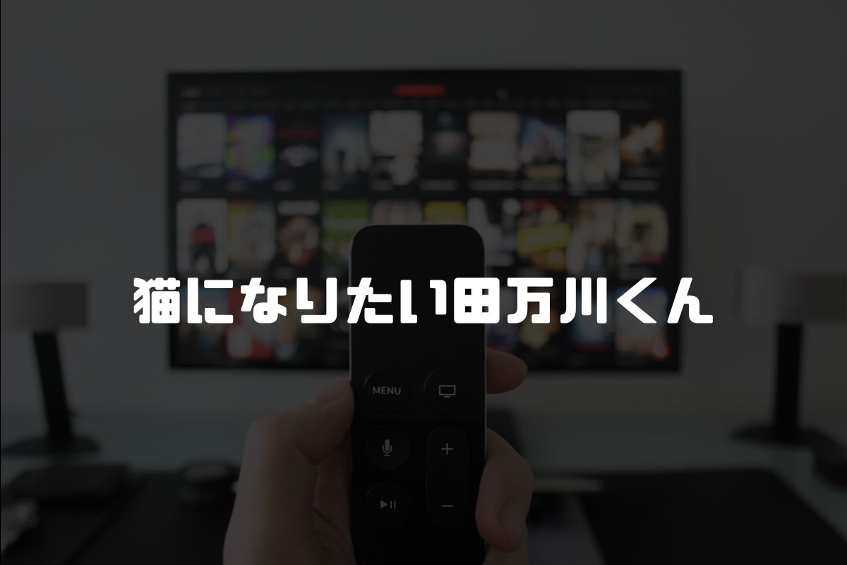 猫になりたい田万川くん アニメ化