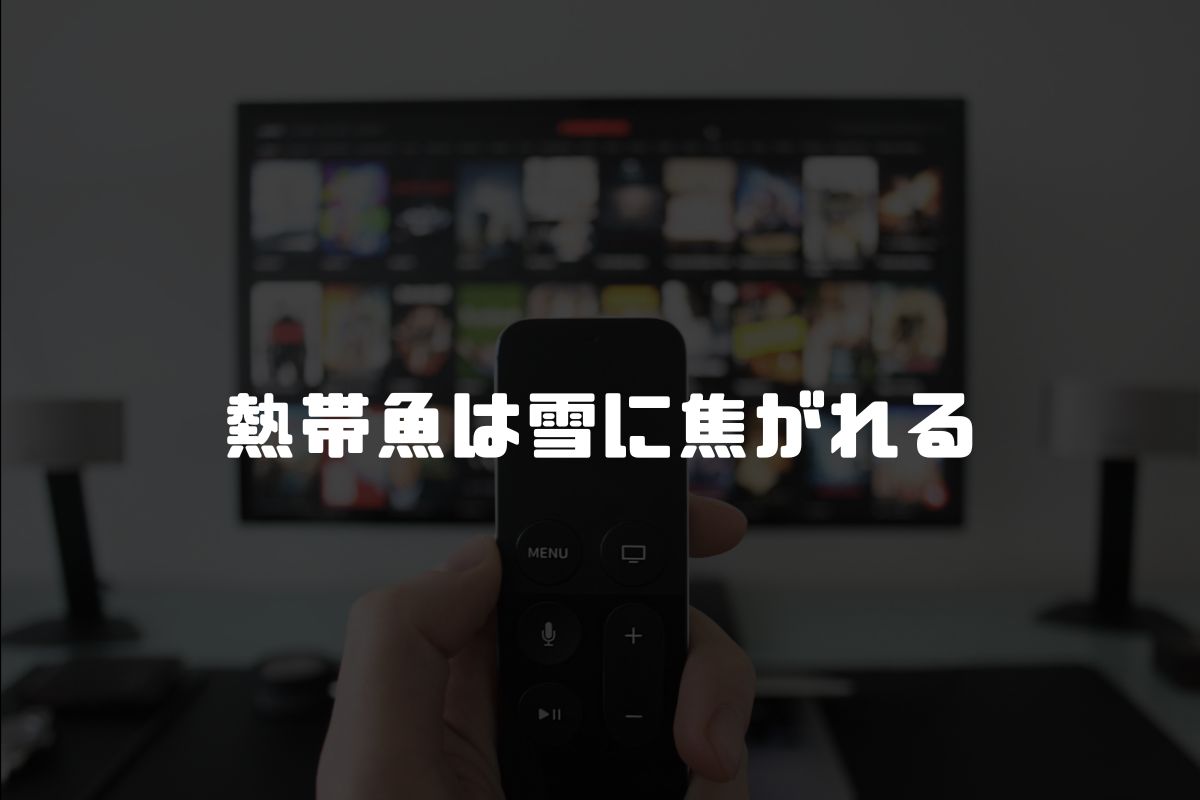 熱帯魚は雪に焦がれる アニメ化