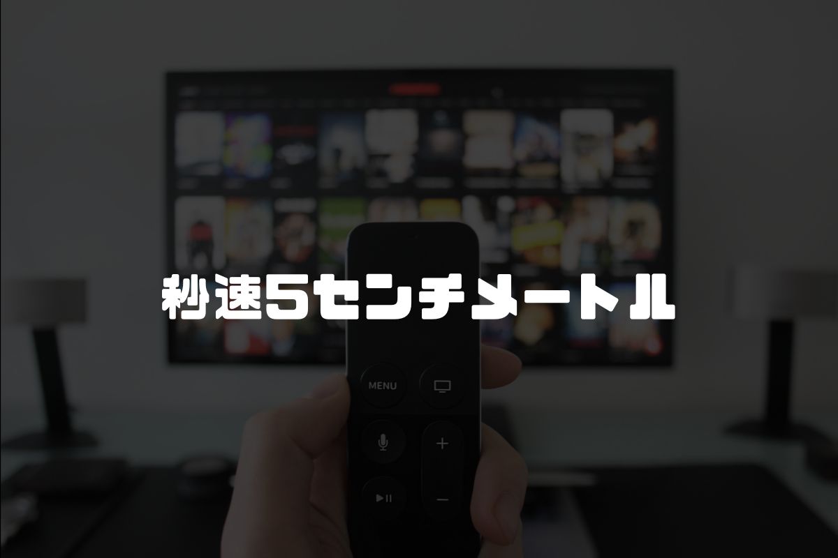 アニメ 秒速5センチメートル 続編