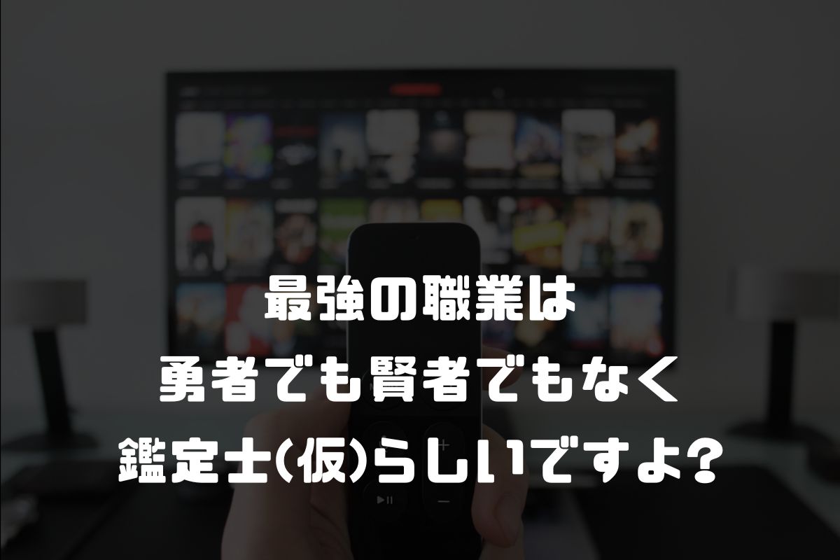 最強の職業は勇者でも賢者でもなく鑑定士(仮)らしいですよ? アニメ化